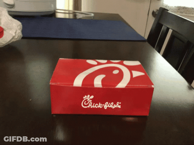 Chick Fil A GIF