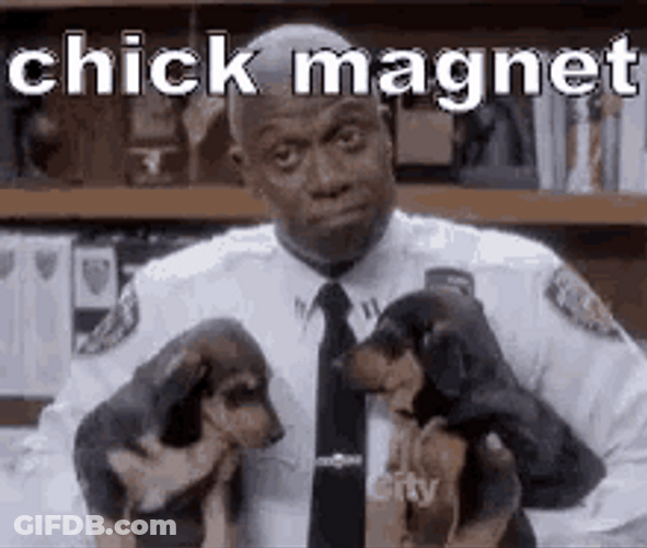 Chick Magnet Raymond Holt Puppies Meme GIF