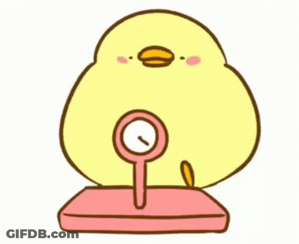 Chick's Weight Gain GIF