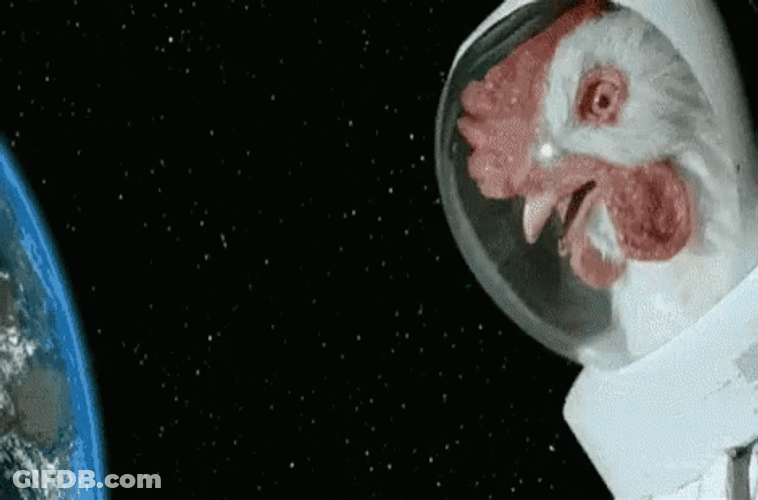 Chicken Astronaut In Outer Space GIF