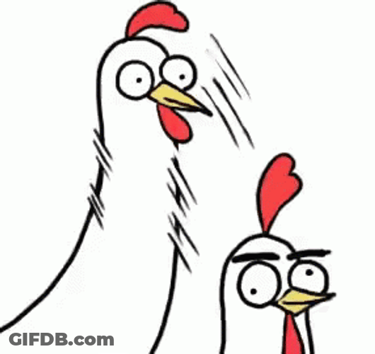 Chicken Bro Fighting GIF