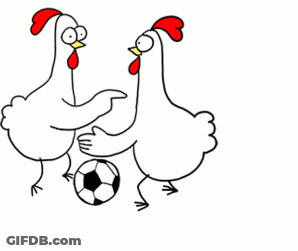 Chicken Bro Soccer Football GIF