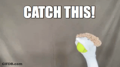 Chicken Catching Tennis Ball Saying Catch This GIF
