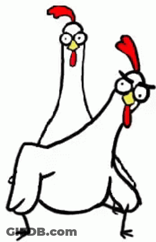 Chicken Chicken Bro Funny Crazy Dance GIF