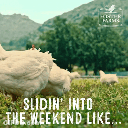 Chicken Dance Sliding Into The Weekend GIF