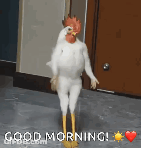 Chicken Dressed As Rooster Saying Good Morning GIF