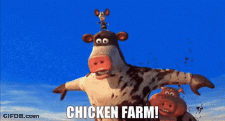 Chicken Farm Otis Cow GIF