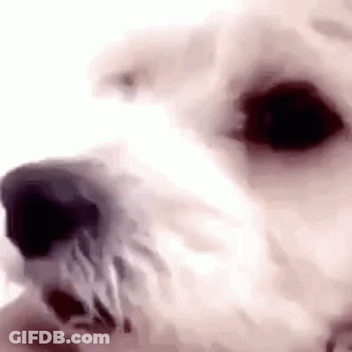 Chicken Figurine Dancing In Goon Video Game GIF