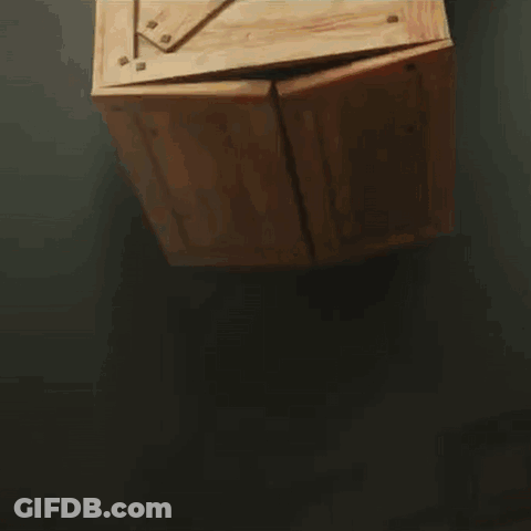 Chicken In Boxing Ring With Bear On Head GIF