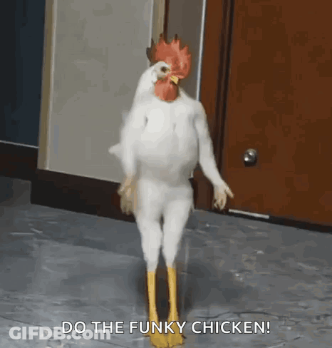 Chicken In Chicken Costume Standing On Hind Legs GIF