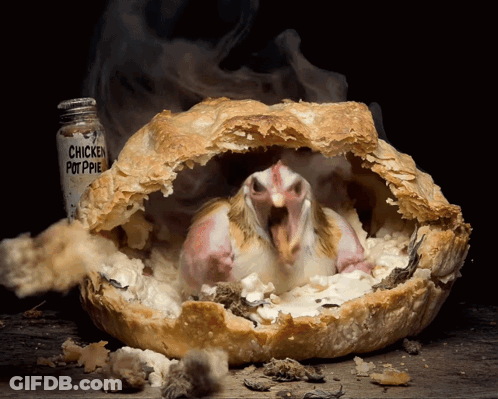 Chicken In Chicken Pot Pie With Spice Bottle GIF