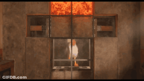 Chicken In Front Of Fireplace With Fire GIF