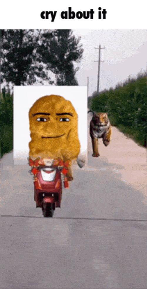 Chicken Nugget Driving Motorcycle Memes GIF