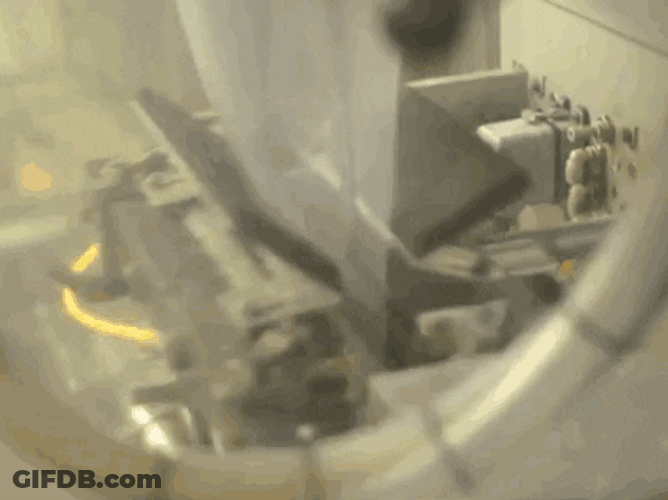 Chicken Nugget Meme Packing GIF