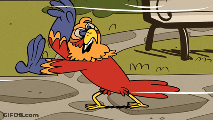 Chicken On Windy Day GIF