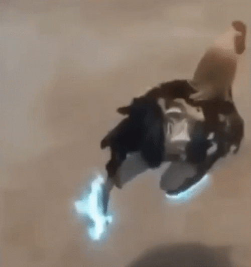 Chicken Run And Jump GIF