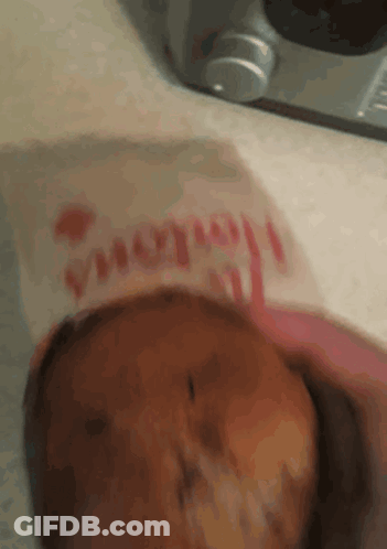 Chicken Sandwich On Paper Saying Wendy's GIF