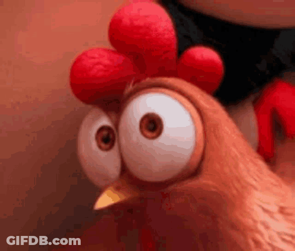 Chicken Say What GIF
