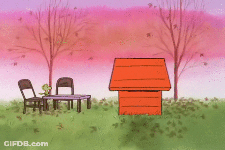 Chicken Served Peanuts Snoopy Thanksgiving GIF