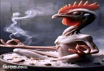 Chicken Sitting In Food Bowl With Smoke GIF