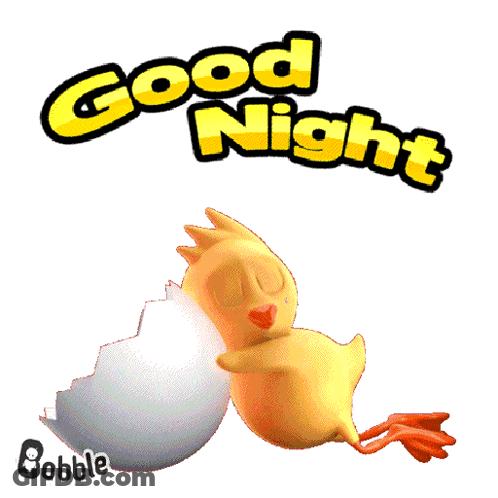 Chicken Sleeping In Egg Saying Good Night GIF