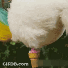 Chicken Standing Next To Ice Cream Cone GIF