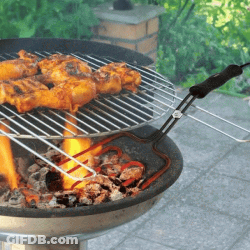 Chicken Thighs Are Cooking On A Grill With Flames GIF