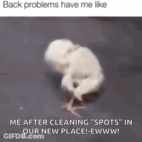 Chicken Walking Back Problems Have Me Like Me After Cleaning Spots GIF
