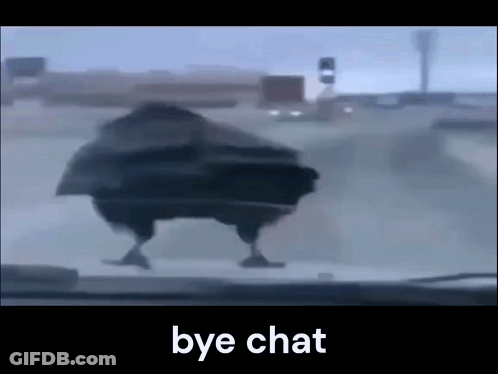 Chicken Walking On Road Bye Chat GIF