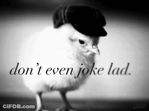 Chicken Wearing Hat Don T Even Joke Lad GIF