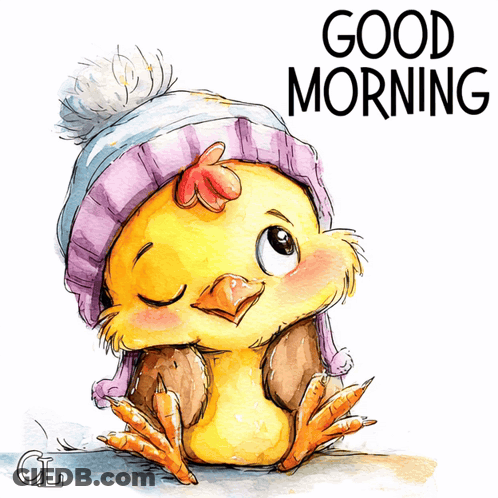 Chicken Wearing Hat Saying Good Morning GIF