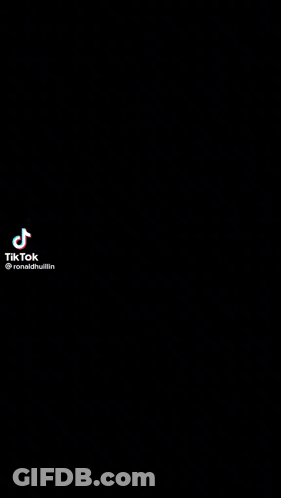 Chicken Wearing Sunglasses Sitting On Shoes GIF