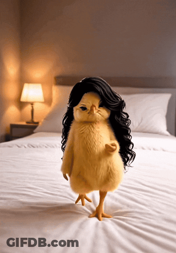 Chicken With Black Wig On Bed GIF