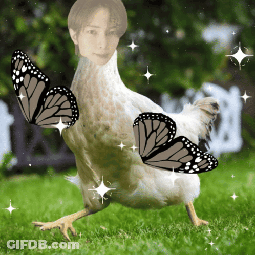 Chicken With Butterflies And Man's Image GIF