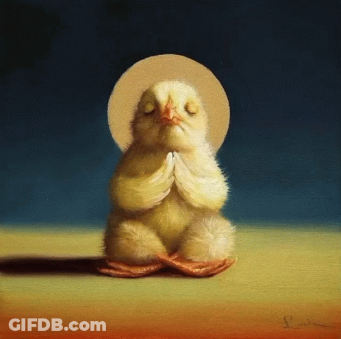 Chicken With Eyes Closed GIF