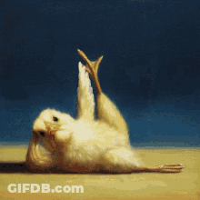 Chicken With Feet Crossed GIF