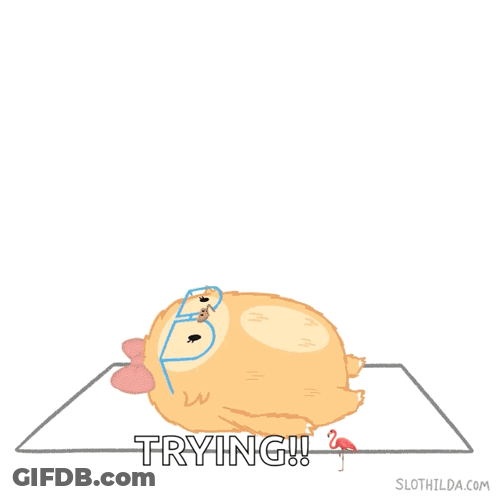 Chicken With Glasses Saying Get Tacos GIF
