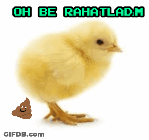 Chicken With Oh Be Rahatladm GIF