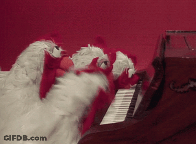 Chickens Playing Piano GIF