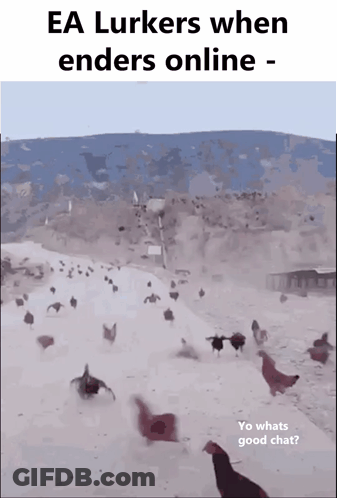 Chickens Running In Snow GIF