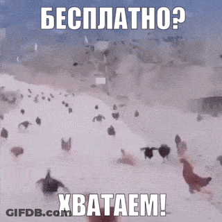 Chickens Walking In Snow With Xbataem GIF