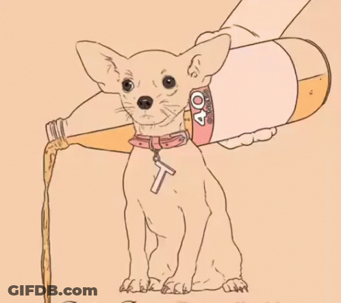Chihuahua Being Poured From 40% Alcohol Bottle GIF