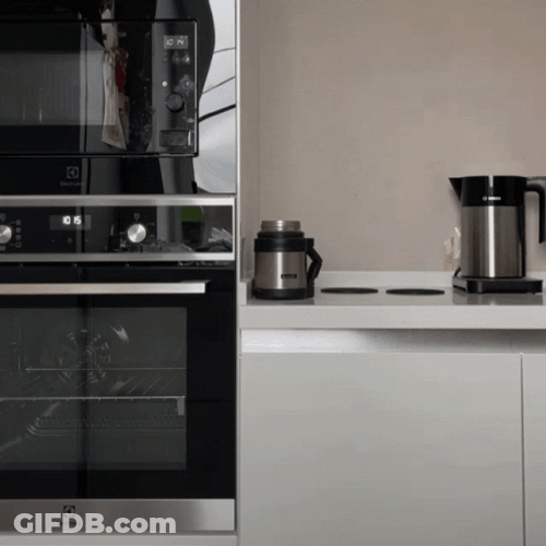 Chihuahua Dog Cheers Meme GIF
