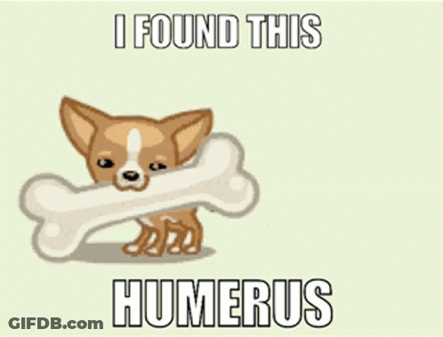 Chihuahua Holding Bone Saying I Found This Humerus GIF