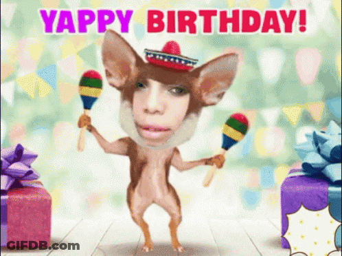 Chihuahua Holding Maracas Birthday Card GIF