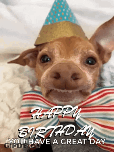 Chihuahua In Party Hat Saying Happy Birthday GIF