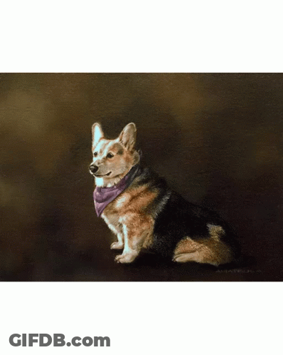 Chihuahua Sitting On Colorful Pillow Saying Pablo GIF