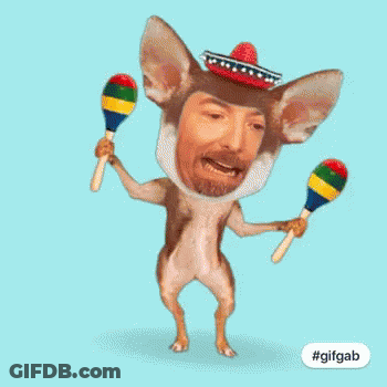 Chihuahua Wearing Sombrero Holding Maracas GIF
