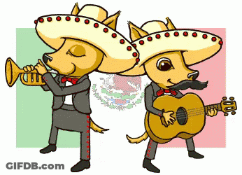 Chihuahuas Playing Music Mexican Flag GIF