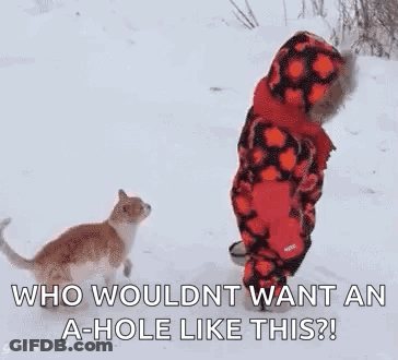 Child And Cat Standing In Snow Cat Looking At Child GIF